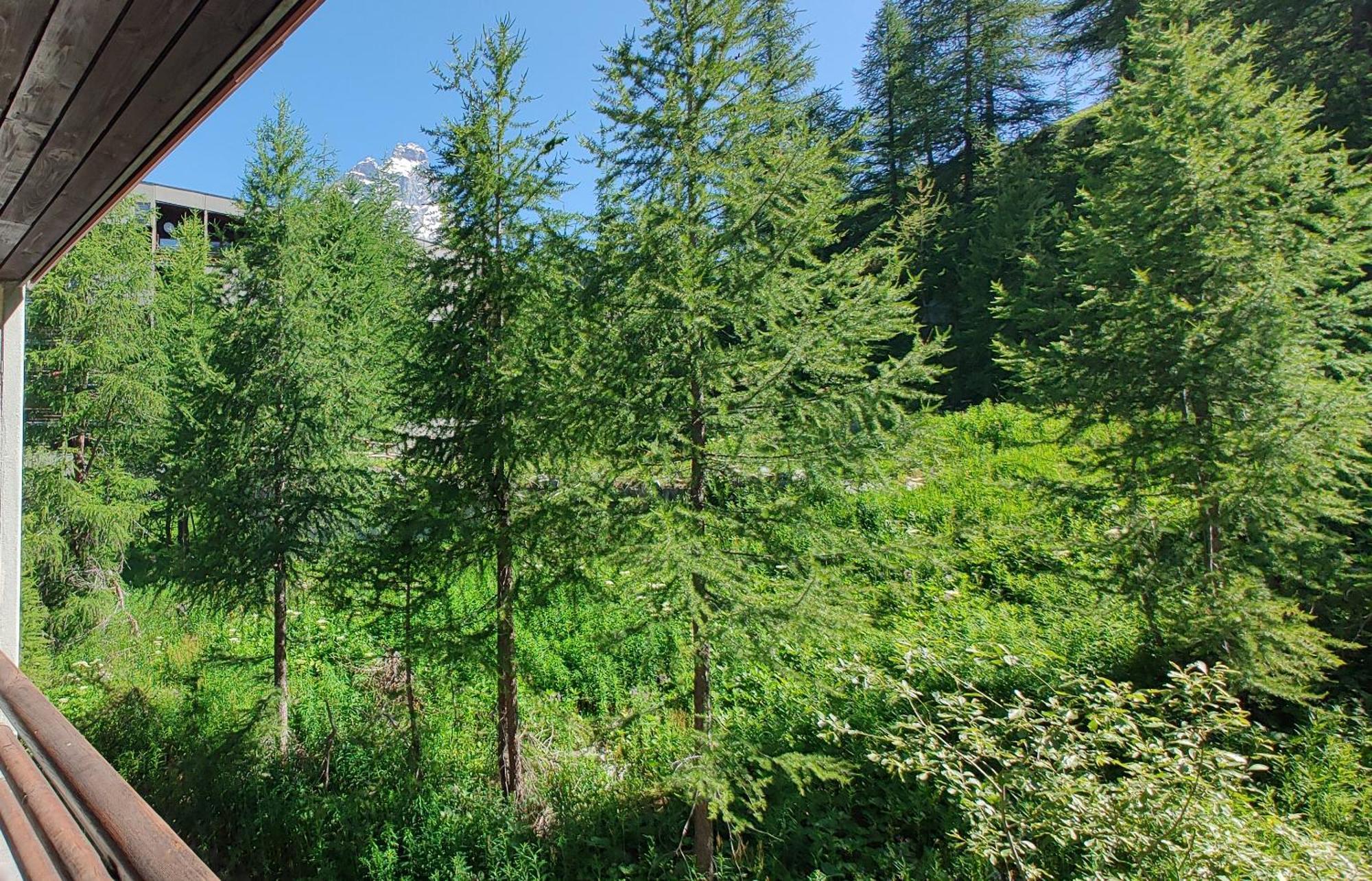 Cervinia - Matterhorn Apartments 브루일서비니아 외부 사진
